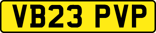 VB23PVP