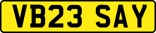 VB23SAY