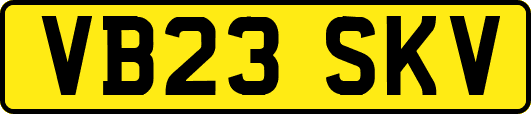 VB23SKV