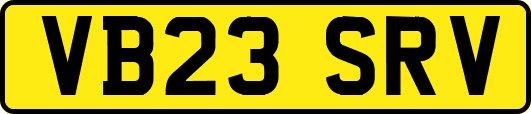 VB23SRV