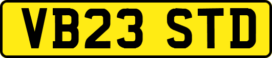 VB23STD