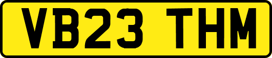 VB23THM