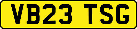 VB23TSG