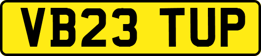 VB23TUP