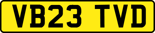 VB23TVD