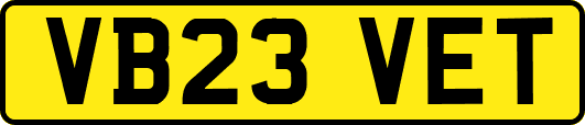 VB23VET