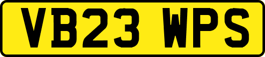 VB23WPS