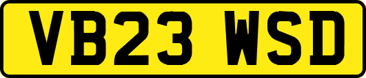 VB23WSD