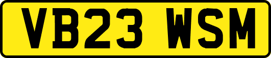 VB23WSM