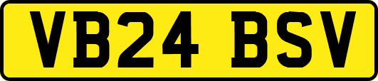 VB24BSV