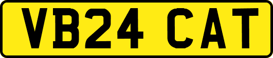 VB24CAT