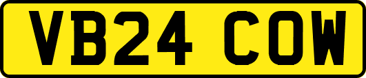 VB24COW