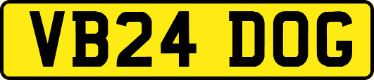 VB24DOG