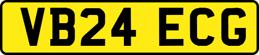 VB24ECG