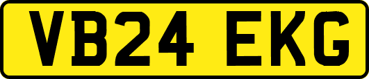 VB24EKG