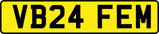 VB24FEM