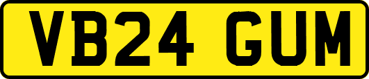 VB24GUM