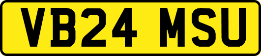 VB24MSU