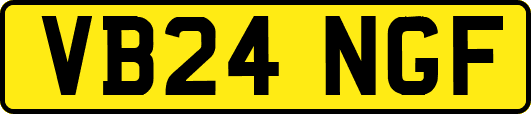 VB24NGF