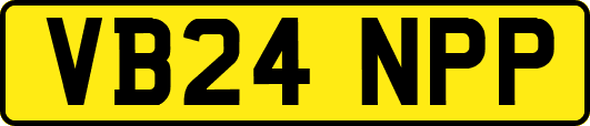 VB24NPP