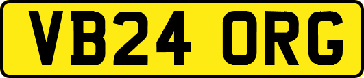 VB24ORG