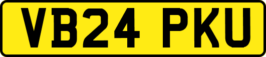 VB24PKU