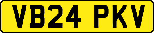 VB24PKV