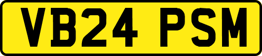VB24PSM