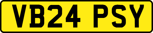 VB24PSY