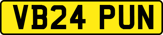 VB24PUN