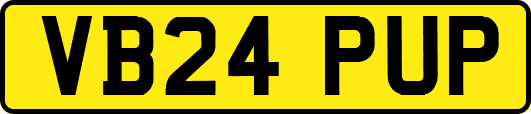 VB24PUP