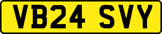VB24SVY