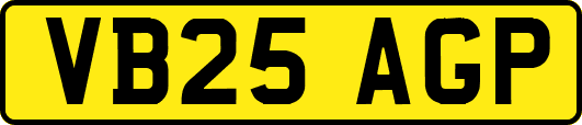VB25AGP