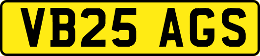 VB25AGS