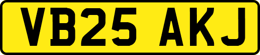 VB25AKJ