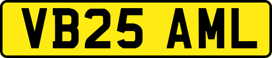 VB25AML