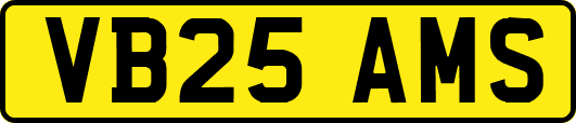 VB25AMS