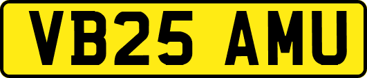 VB25AMU