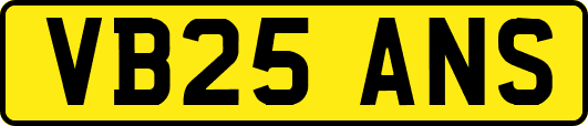 VB25ANS