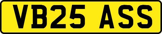 VB25ASS