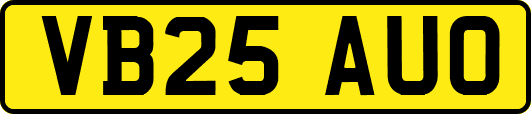 VB25AUO