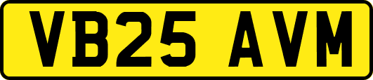 VB25AVM