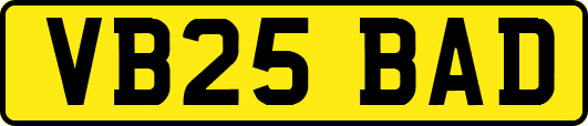 VB25BAD