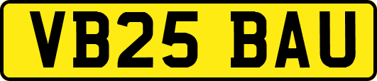 VB25BAU