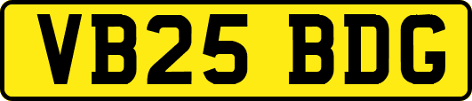VB25BDG