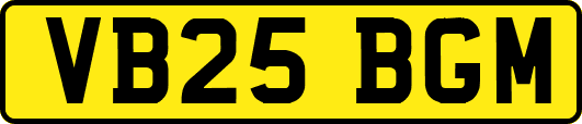 VB25BGM
