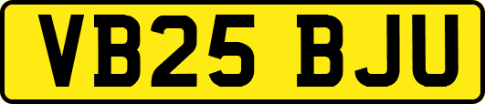 VB25BJU