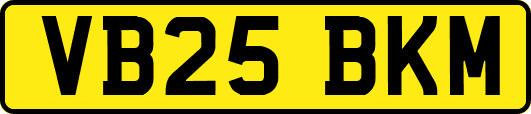 VB25BKM