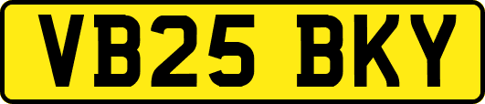 VB25BKY