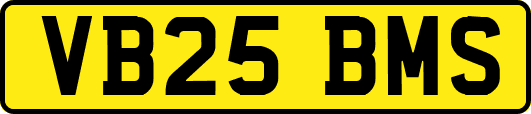 VB25BMS